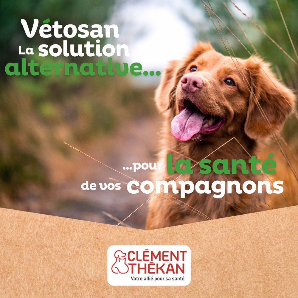 Chien dans l'herbe. Texte: Vétosan. La solution alternative... pour la santé de vos compagnons. Logo Clément Thékan.