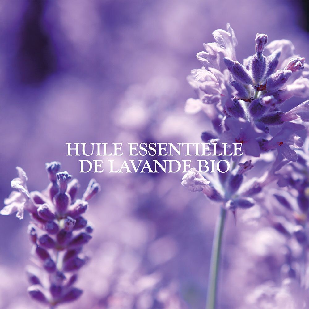 Fleurs de lavande avec texte : Huile essentielle de lavande bio.