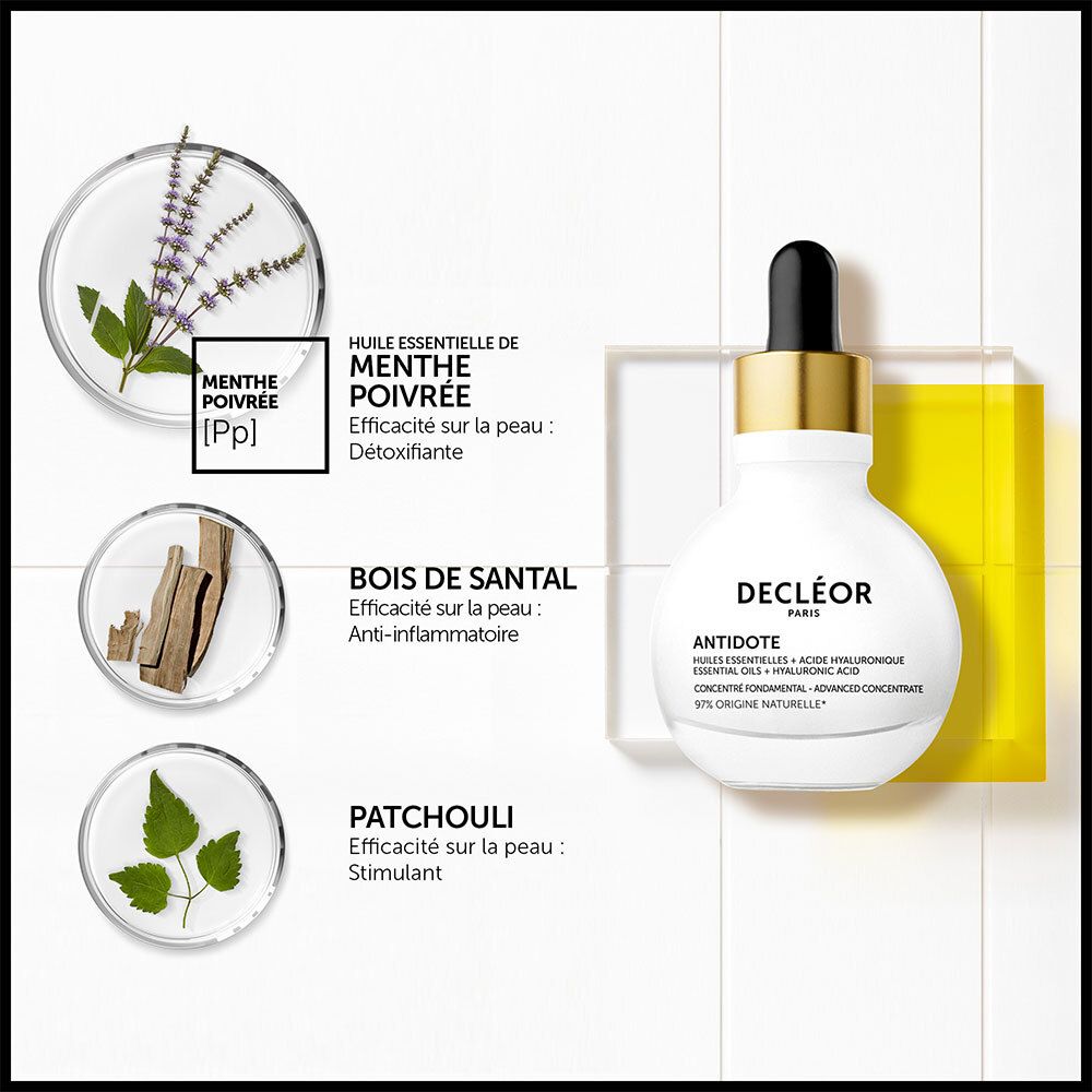 Trois coupelles avec plantes. Flacon ANTIDOTE. Texte: Huile essentielle de Menthe Poivrée, Bois de Santal, Patchouli.