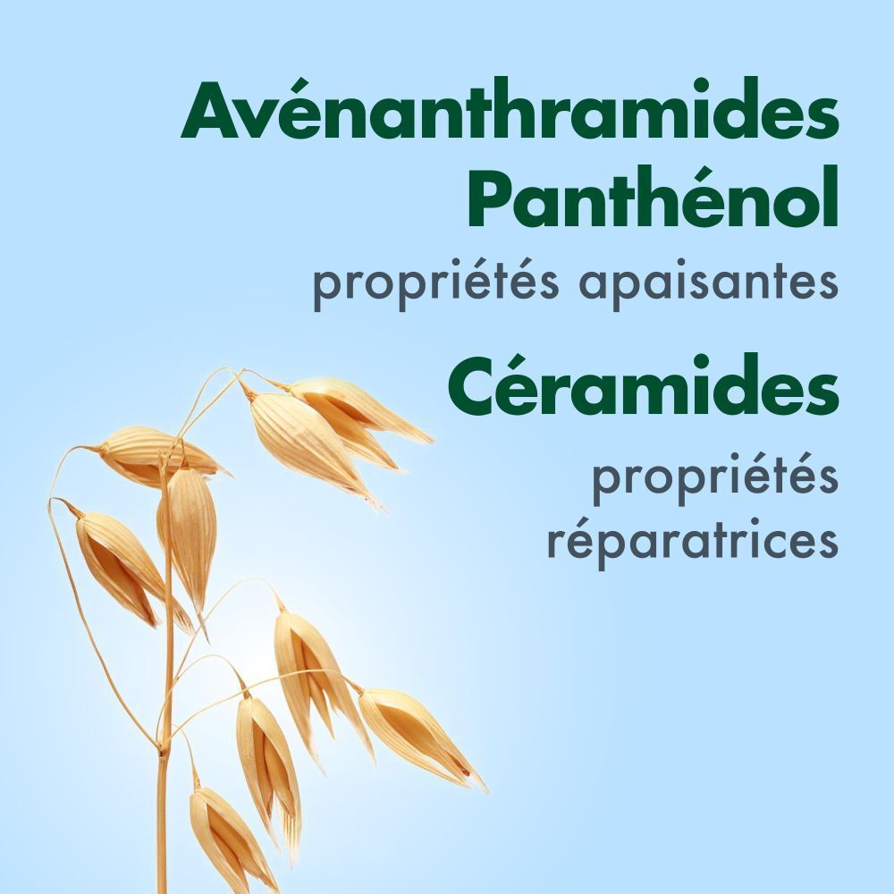 Épis d'avoine avec texte : Avenanthramides, Panthénol, Céramides. Propriétés apaisantes et réparatrices.