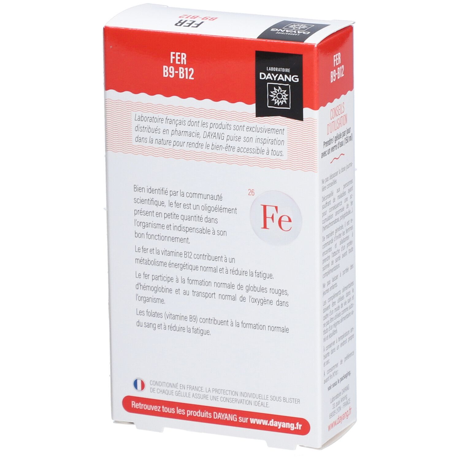 Dos de la boîte FER B9-B12. Contient des informations sur le produit et le logo DAYANG.