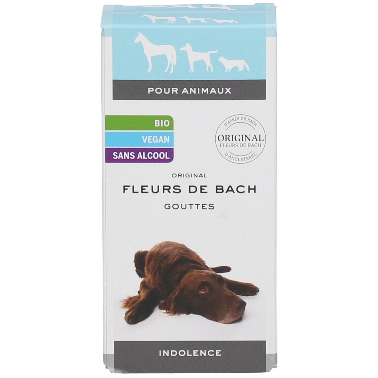 Produktverpackung. Karton mit Produktabbildung und Text: Fleurs de Bach. Logos und Produktname: Indolenz.