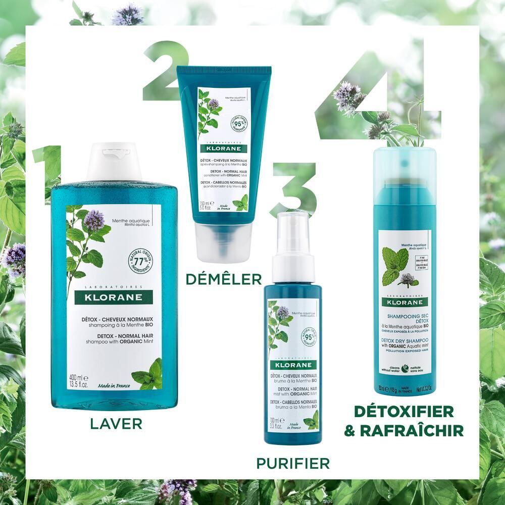 Vier Produkte: Shampoo, Spülung, Spray und Trockenshampoo. Alle mit Minz-Illustration und Text.