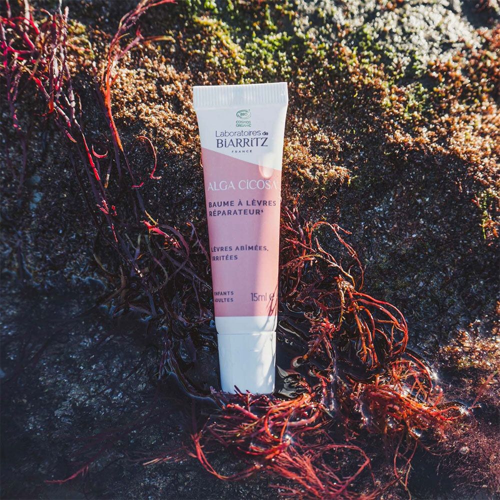 Laboratoires de Biarritz CicaRepa Reparierender Lippenbalsam