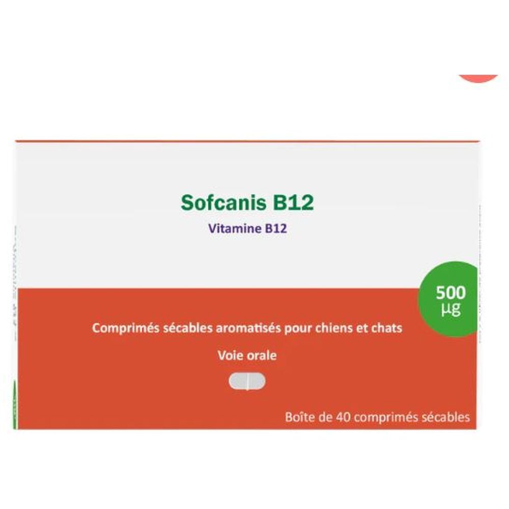 Boîte de Sofcanis B12. Inscription: Vitamine B12, comprimés pour chiens et chats, 500 µg. Emballage orange et blanc.
