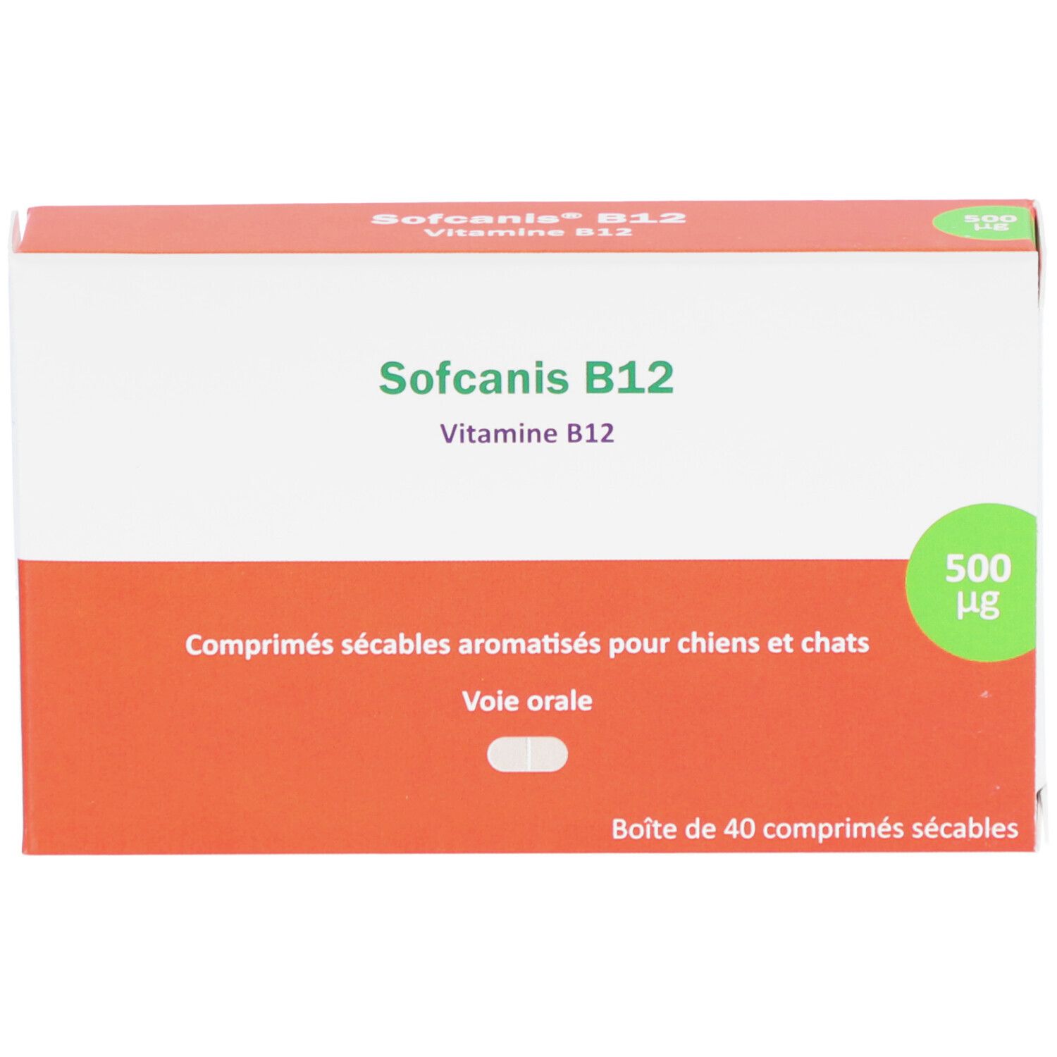 Dos de l'emballage Sofcanis B12. Contient des informations sur les ingrédients, l'utilisation et les avertissements. Emballage orange et blanc.