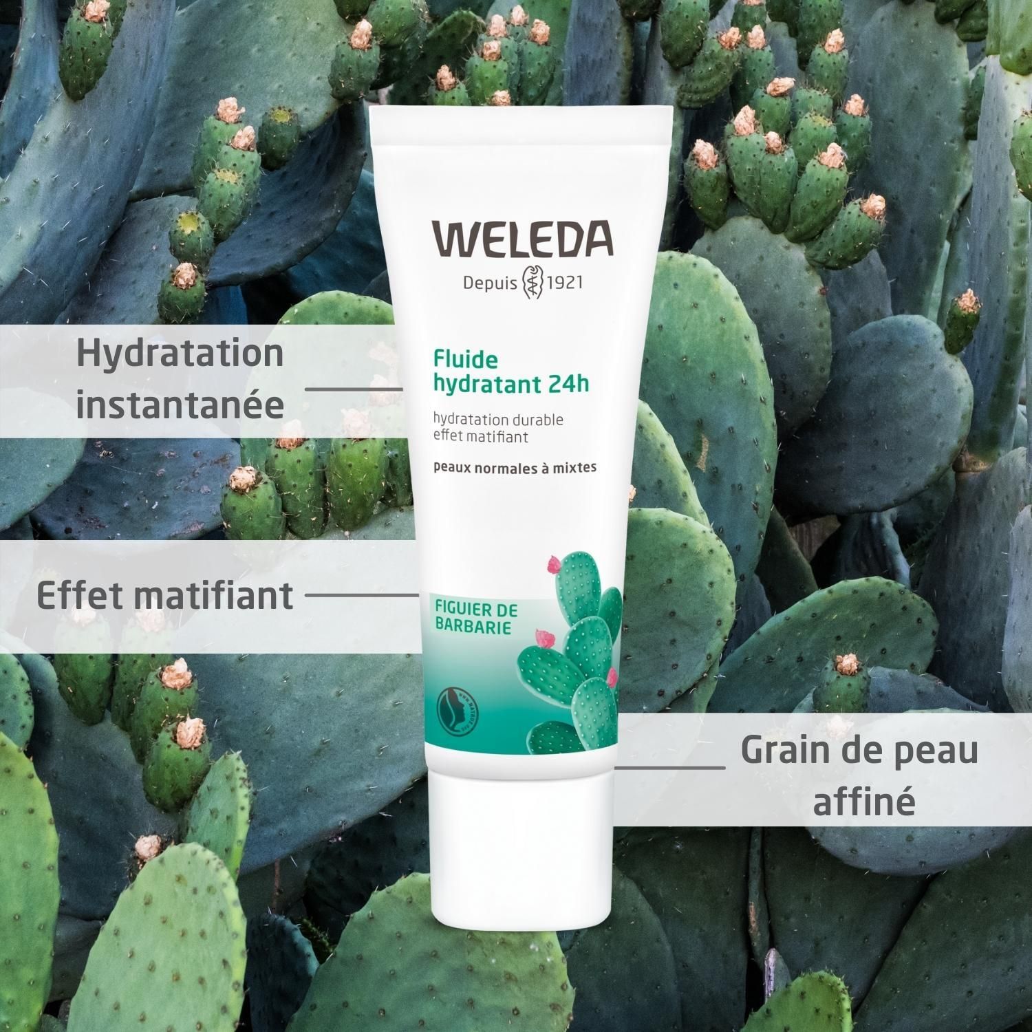 Tube Weleda Feigenkaktus 24h Feuchtigkeits-Fluid. Fond cactus. Nom et marque visibles.