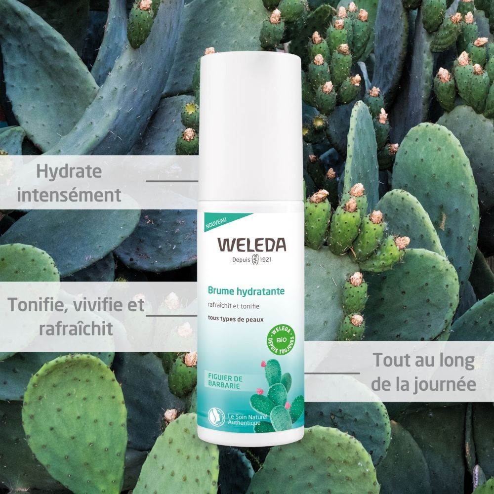 Spray hydratant Weleda. Flacon avec illustration de produit et figue de barbarie. Texte: Hydrate intensément, Tonifie, vivifie et rafraîchit.