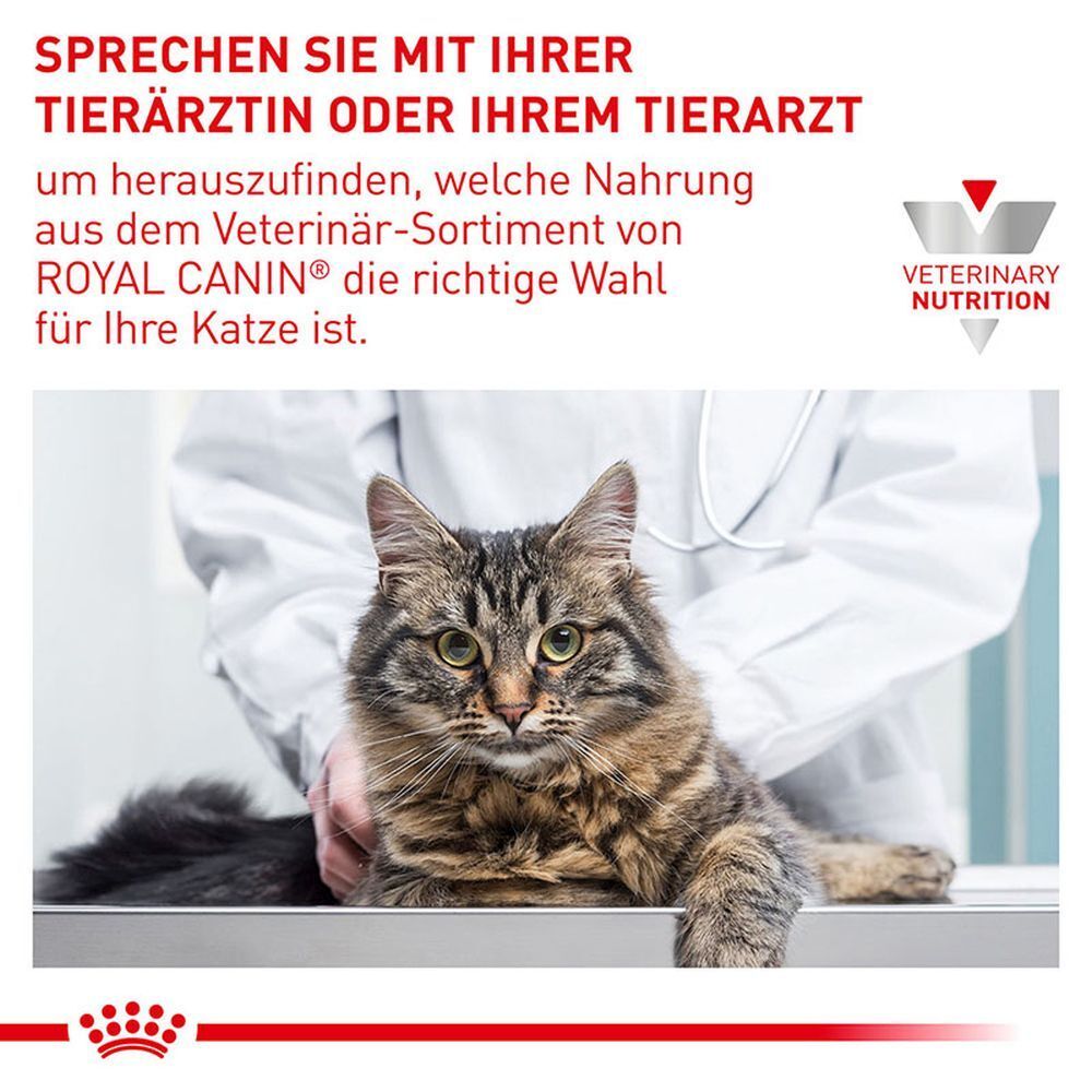 Konsultieren Sie Ihren Tierarzt für die richtige Royal Canin Ernährung für Ihre Katze.