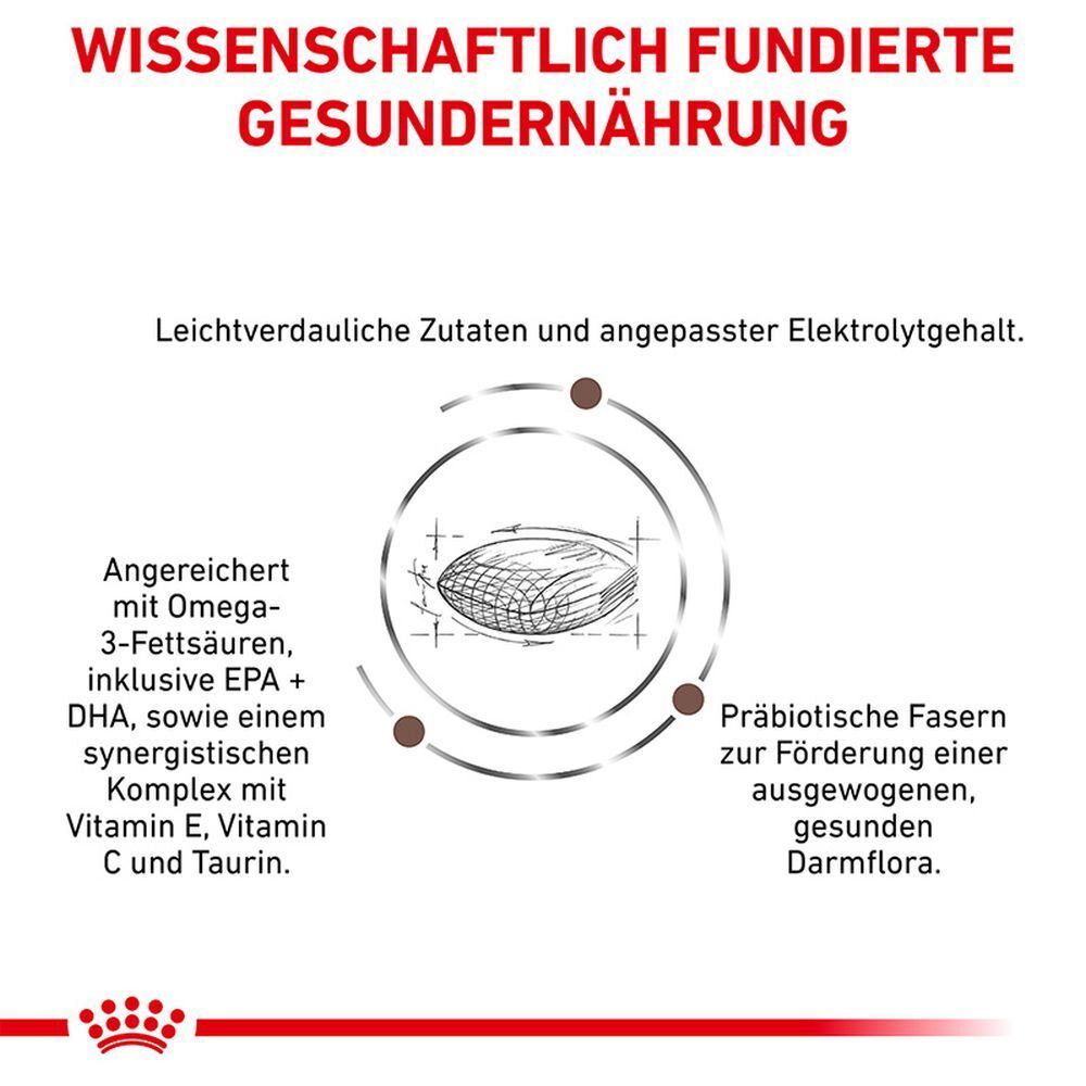 Grafik mit Text über wissenschaftlich fundierte Tiernahrung, angereichert mit Omega-3-Fettsäuren, Vitaminen und Präbiotika.