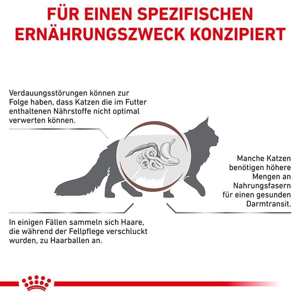 Grafik einer Katze mit einem vergrößerten Ausschnitt des Verdauungssystems. Text über Verdauungsstörungen und Haare im Futter.