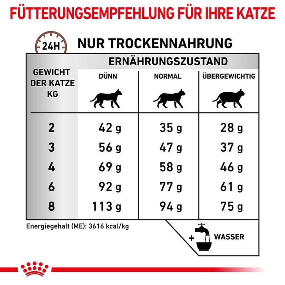 Fütterungsempfehlung für Katzen: Tabelle zeigt Futtermenge in Gramm basierend auf Gewicht und Ernährungszustand.