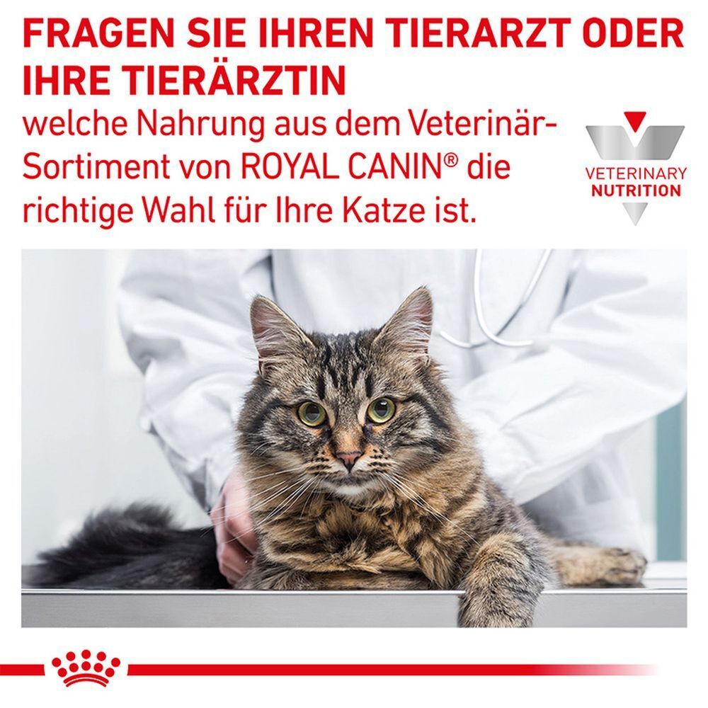 Katze sitzt auf einem Untersuchungstisch, Tierarzt im Hintergrund. Text: Fragen Sie Ihren Tierarzt.