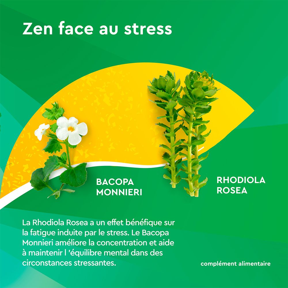 Fond jaune avec plantes et texte: Bacopa Monnieri, Rhodiola Rosea. Texte: Zen face au stress. Complément alimentaire.