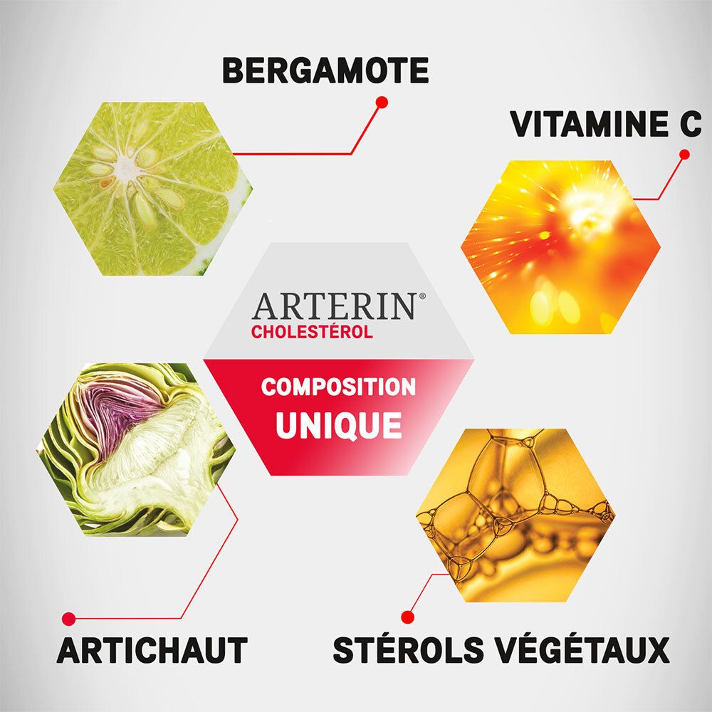 Diagramme avec ingrédients d'Arterin Cholestérol: Bergamote, Artichaut, Stérols végétaux, Vitamine C.