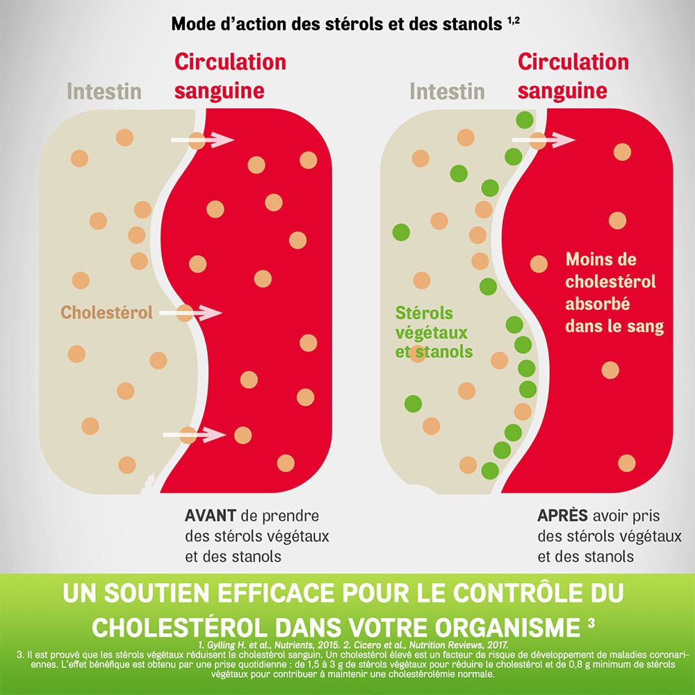 Diagramme: Mode d'action des stérols et stanols. Avant et après. Texte: Soutien pour le contrôle du cholestérol.