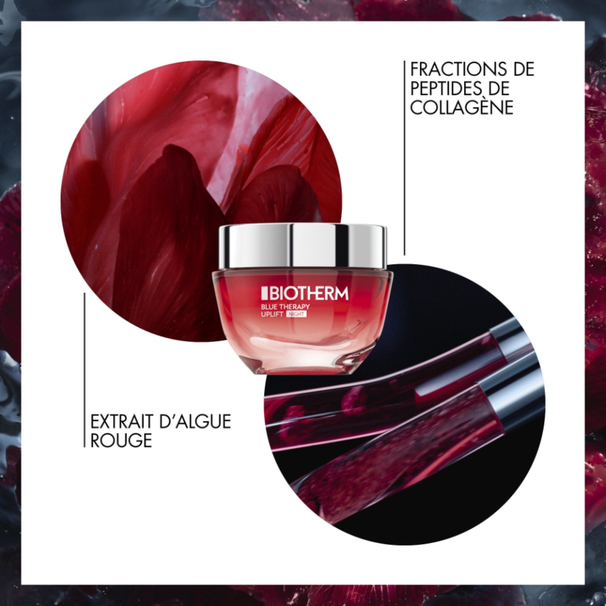 Tiegel und Inhaltsstoffe. BIOTHERM BLUE THERAPY UPLIFT NIGHT. Text: Extrait d'algue rouge.
