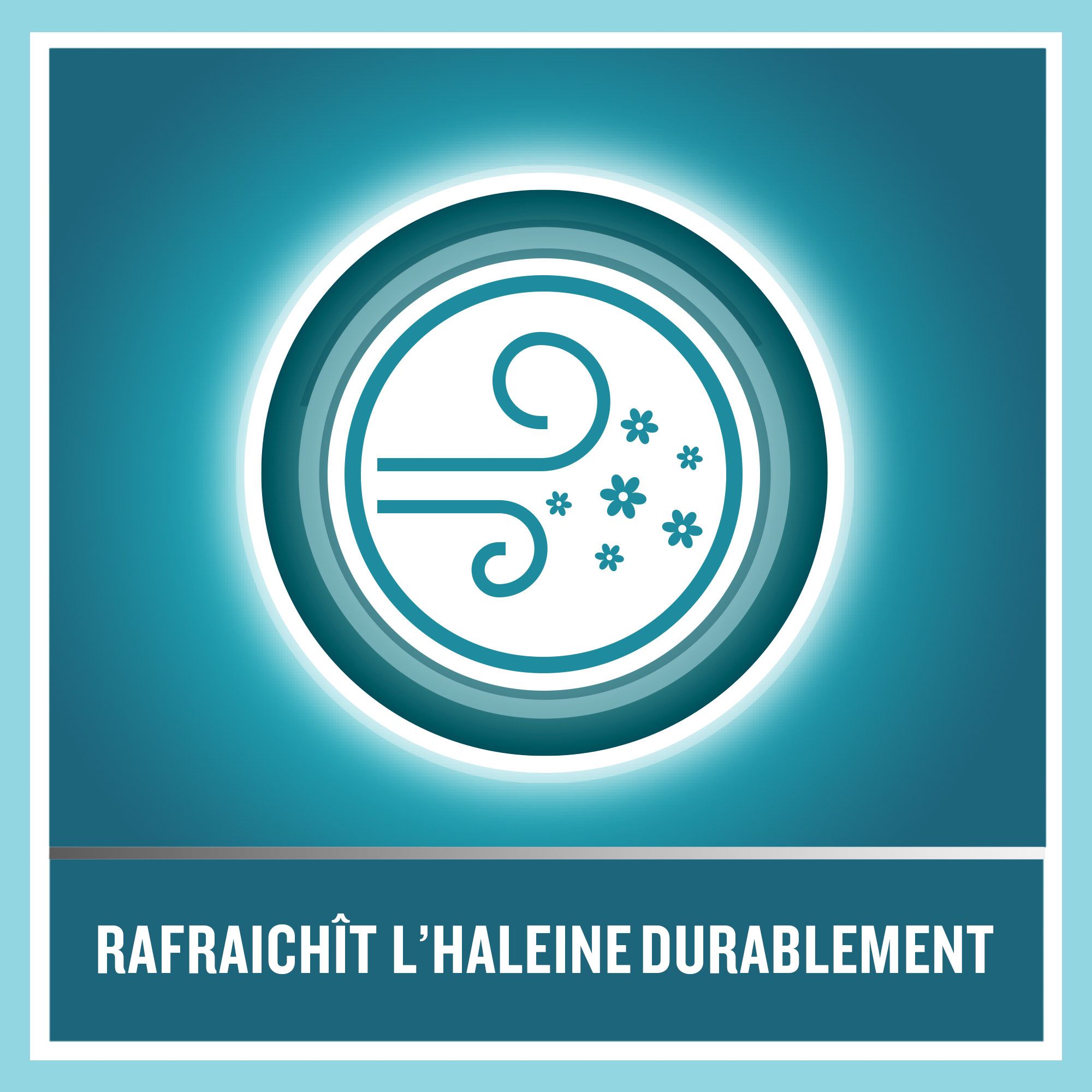 Kreisförmiges Icon mit Wind und Blüten. Text: Rafraîchit l'haleine durablement.