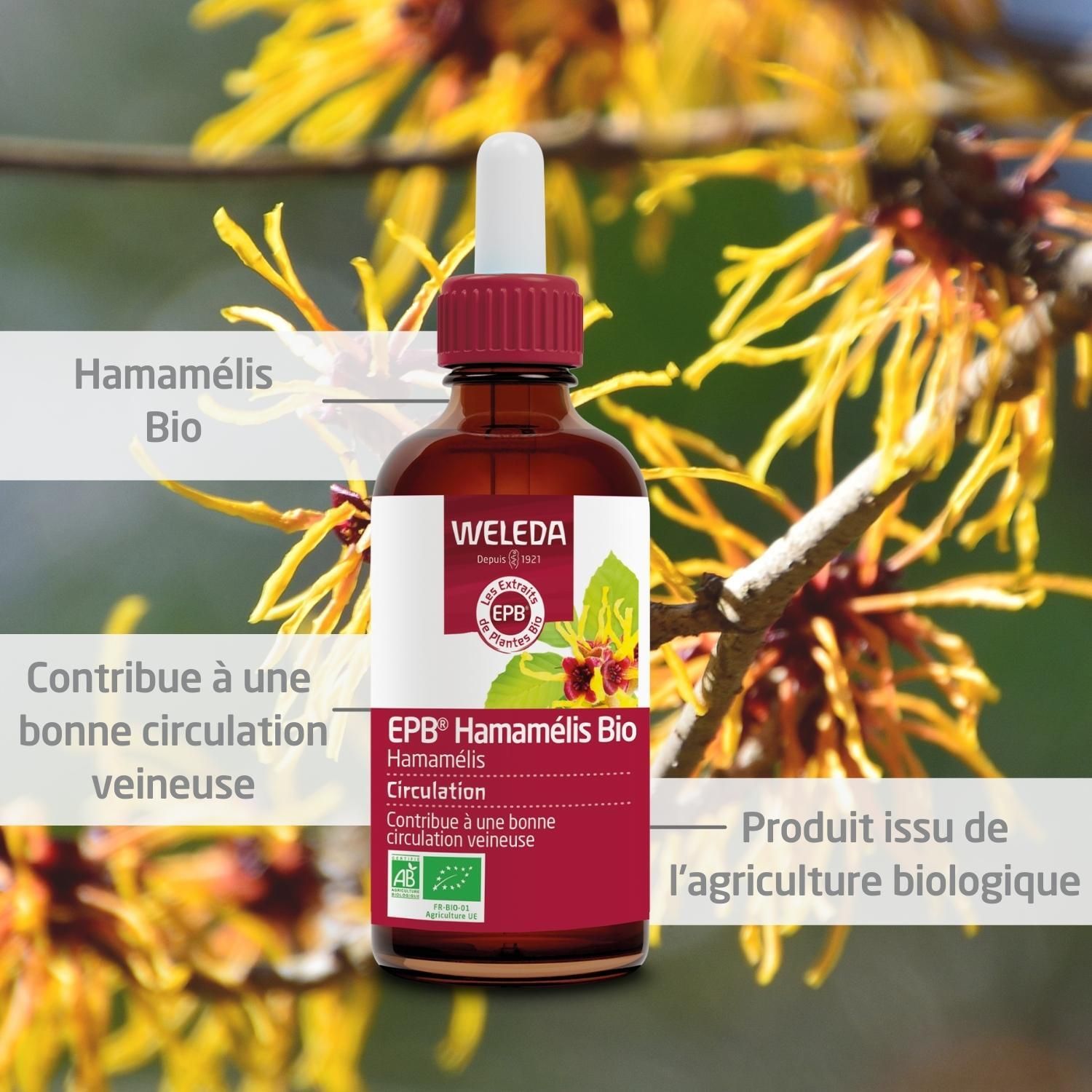 Flacon en verre brun avec étiquette rouge. Logo WELEDA, logo EPB, Hamamélis Bio, Circulation. Pipette. Label bio.