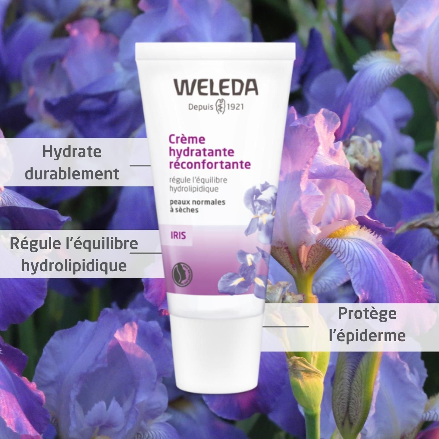 Weleda Creme Tube. Text: Crème hydratante réconfortante, peaux normales à sèches. Iris. Hydrate durablement.