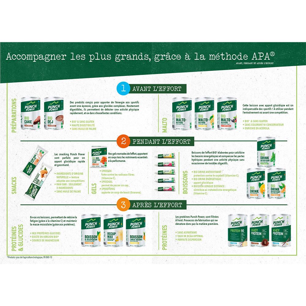 Infografik mit Produkten von Punch Power. Vor, während und nach dem Training. Getränke, Riegel und Gels.