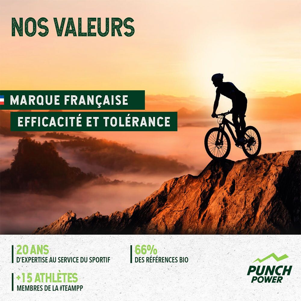 Image publicitaire. Silhouette d'un cycliste sur une montagne. Texte : Marque Française, Efficacité et Tolérance. Logo Punch Power.
