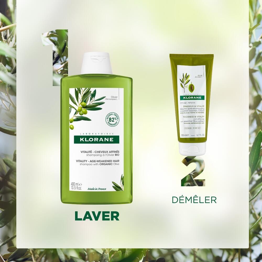 Deux produits: flacon et tube de shampooing KLORANE Bio-Olive. Texte: Laver (laver) et Démêler (démêler). Illustration de branche d'olivier.