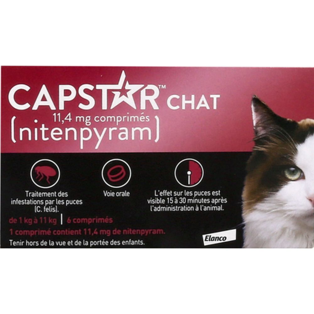 Emballage de CAPSTAR CHAT, comprimés 11,4 mg. Emballage rouge et blanc avec chat. 6 comprimés.