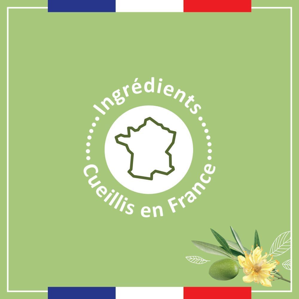 Fond vert avec cadre blanc et drapeau français. Texte: Ingrédients, Cueillis en France. Contour de la France.