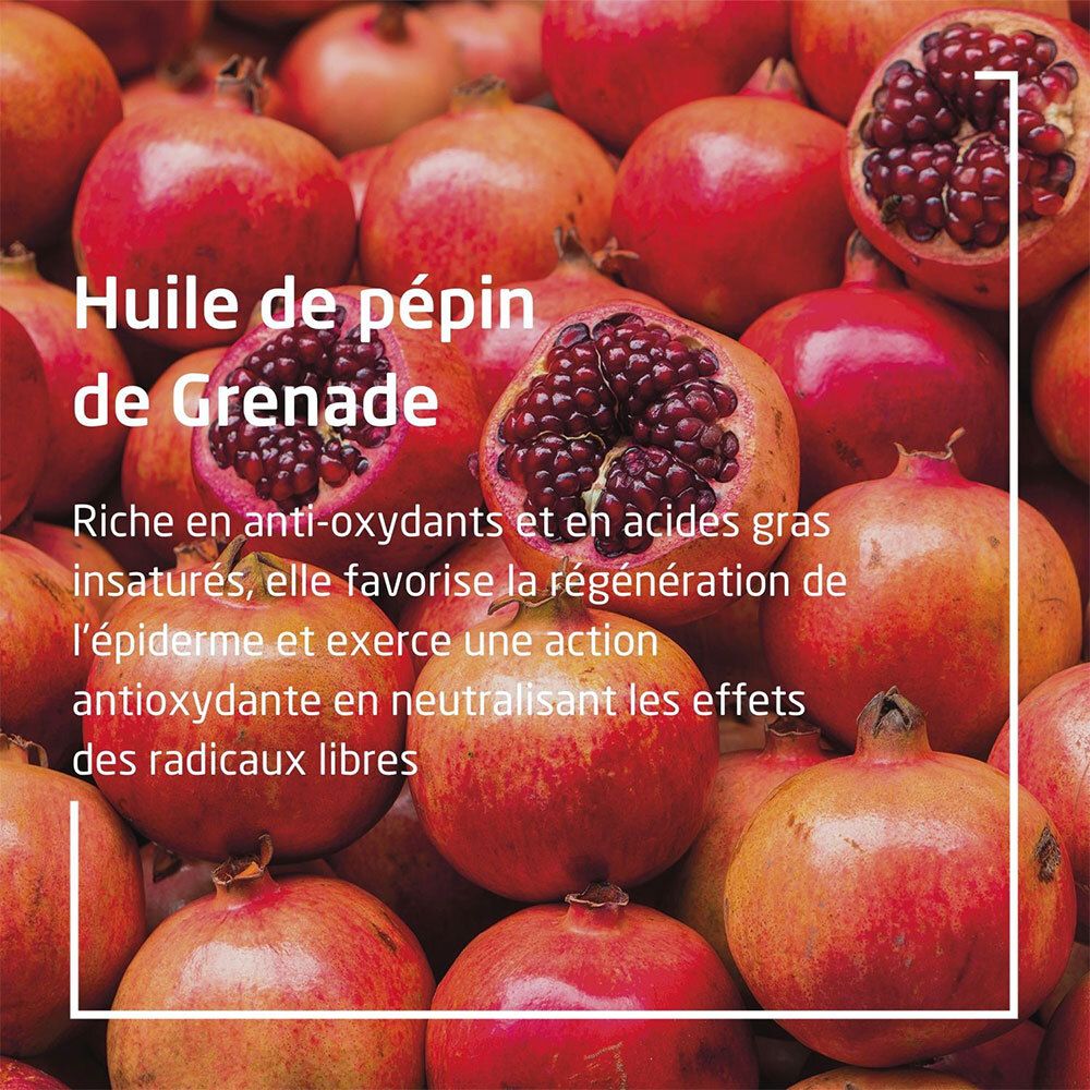 Graines de grenade. Texte: Huile de pépin de Grenade. Riche en antioxydants et acides gras.