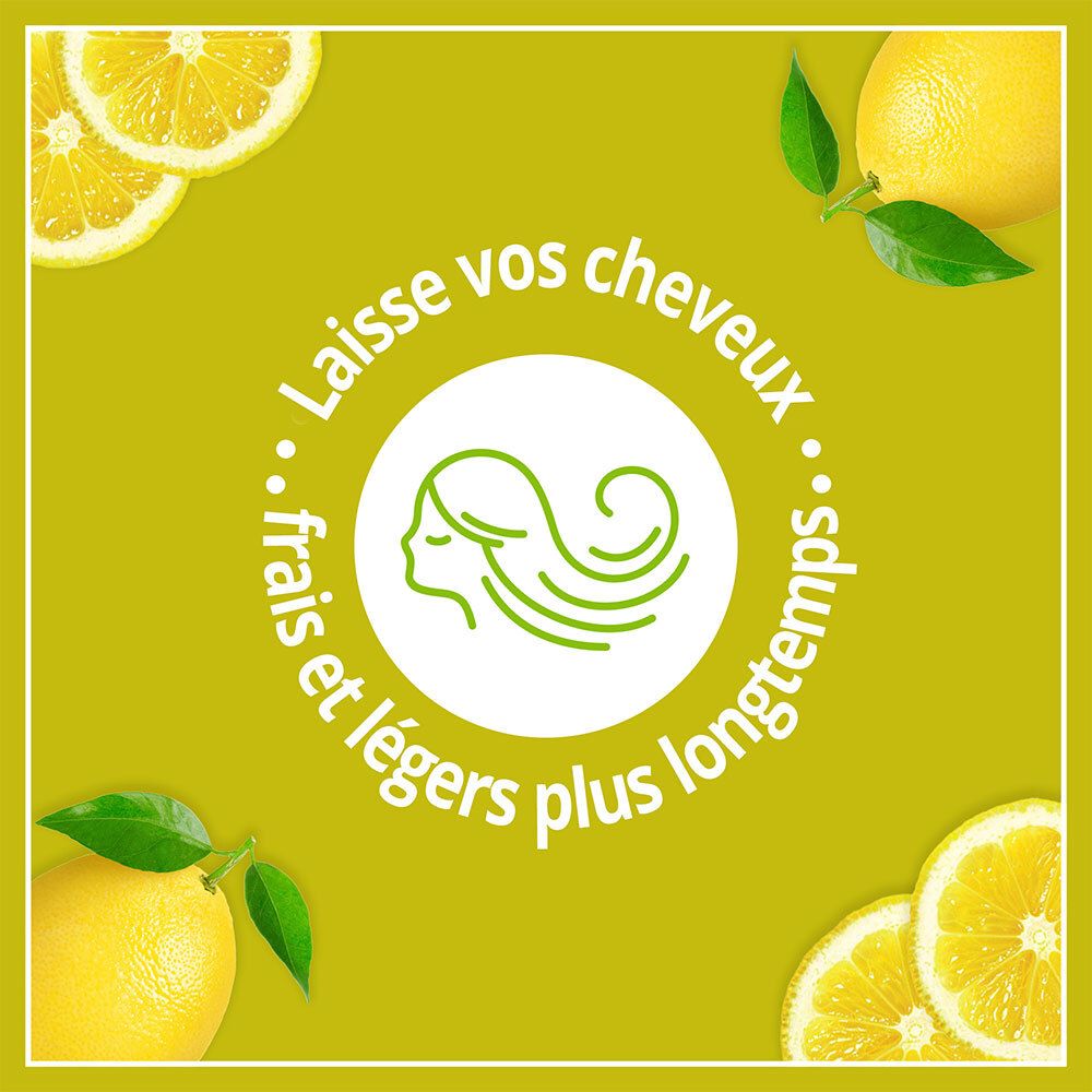 Fond jaune avec citrons et texte : Laisse vos cheveux frais et légers plus longtemps. Logo silhouette de cheveux.