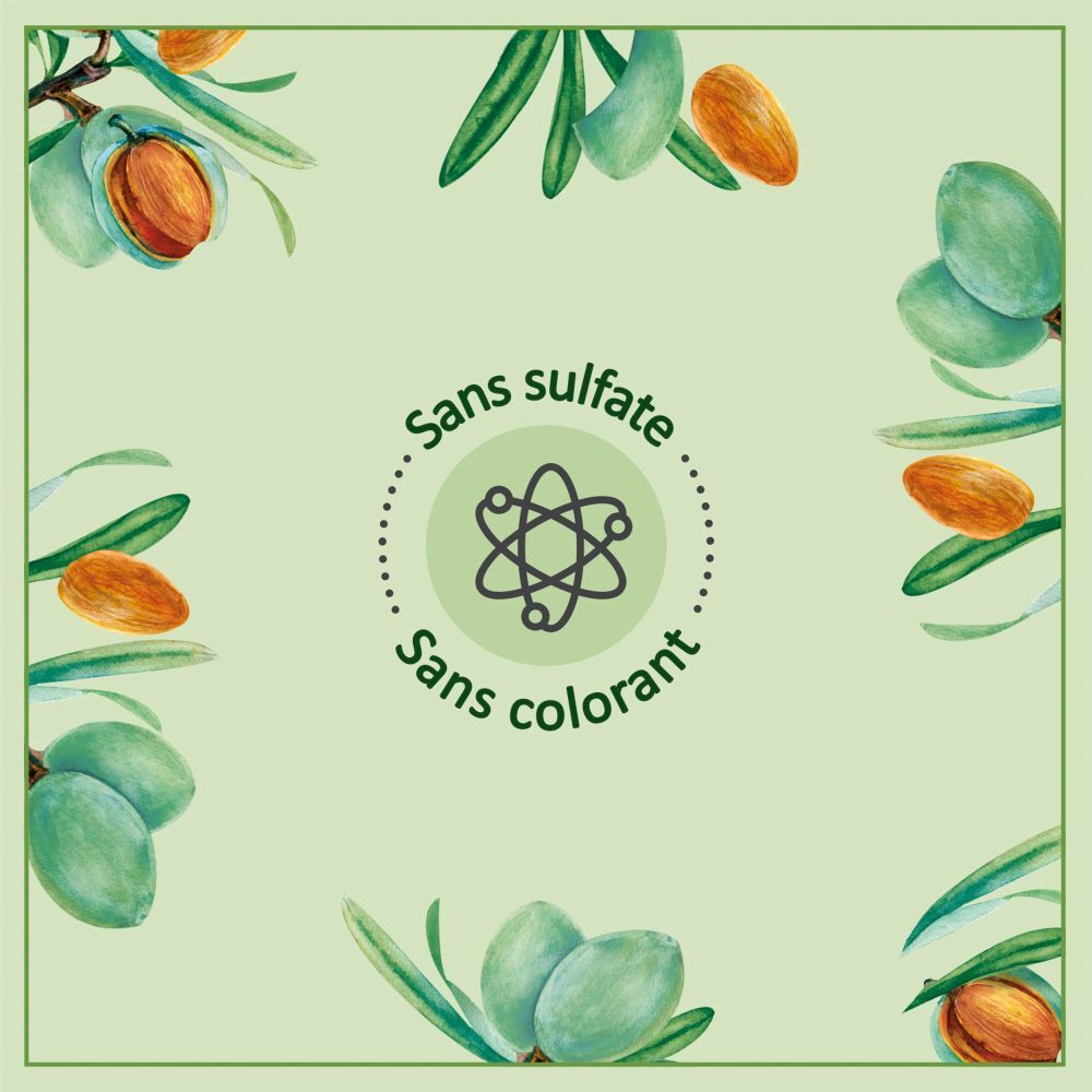 Graphique circulaire avec texte: Sans sulfate, sans colorant. Illustration d'un atome.