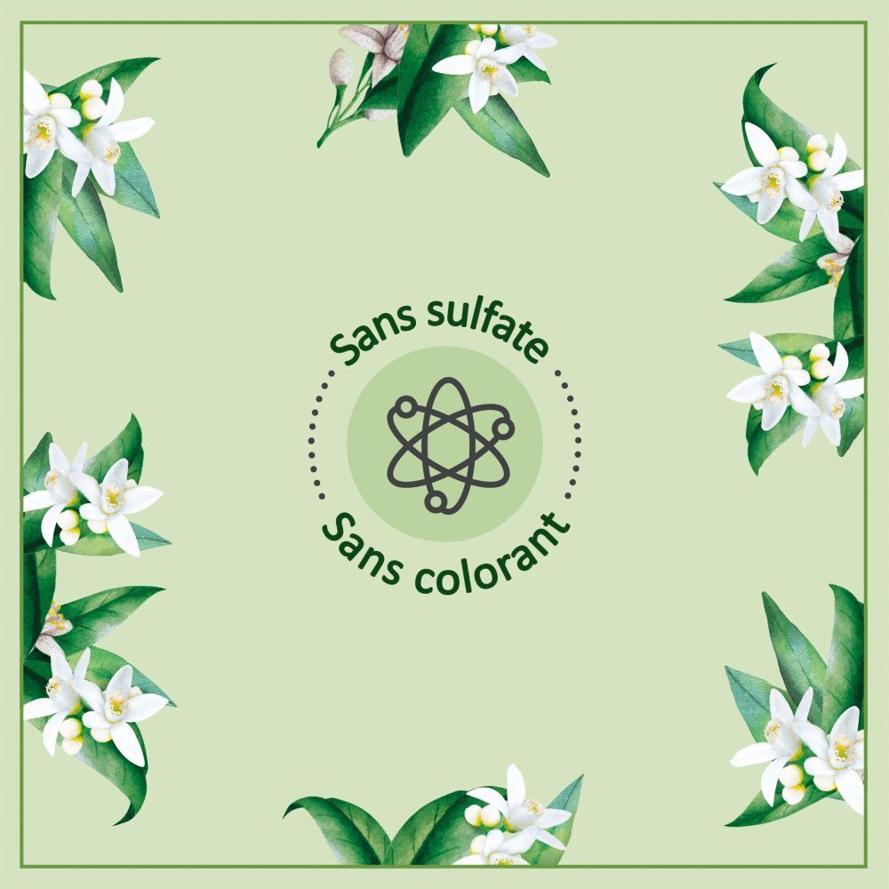 Design carré avec cadre vert et fleurs d'oranger. Texte : Sans sulfate, sans colorant.
