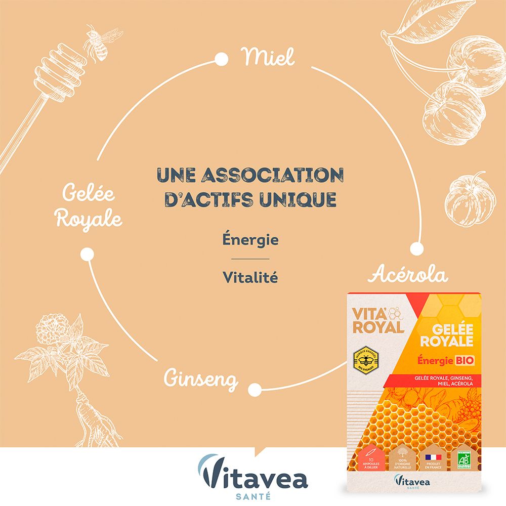 Graphique avec ingrédients de VITA'ROYAL Gelée royale Energie Bio : Gelée royale, ginseng, miel, acérola. Énergie et vitalité.