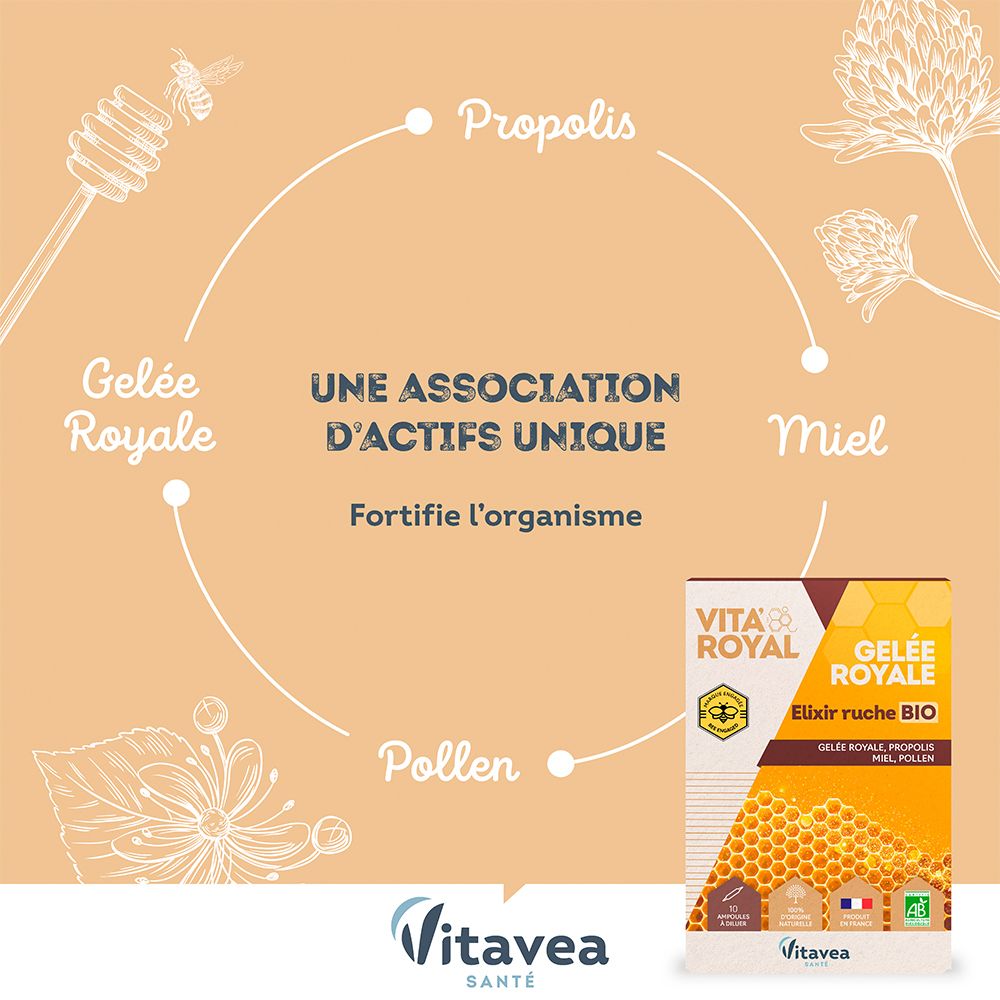 Graphique des ingrédients de VITA'ROYAL Gelée royale Elixir ruche BIO : Gelée Royale, Propolis, Miel, Pollen.
