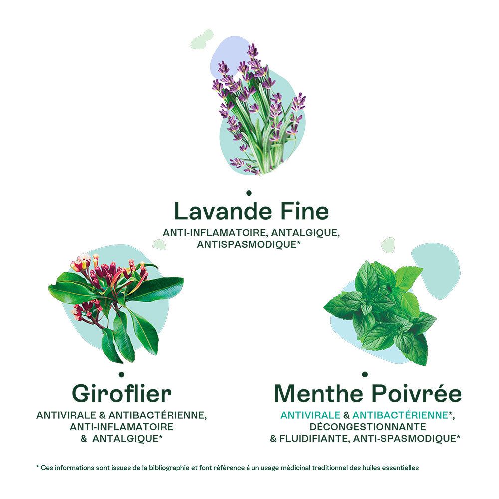 Illustrations de lavande, girofle et menthe poivrée. Texte : anti-inflammatoire, analgésique, antispasmodique.