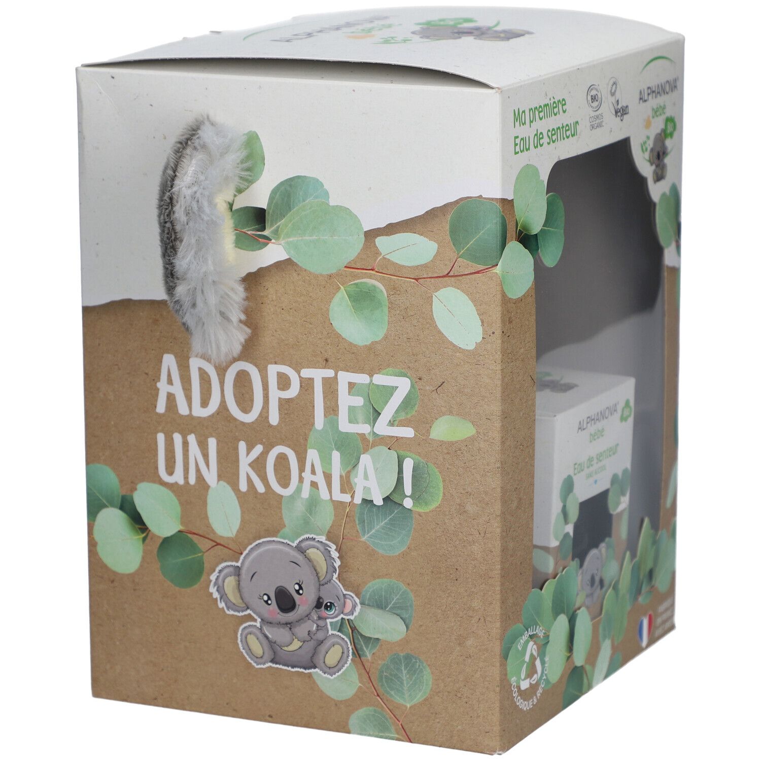 Geschenkbox mit Koala-Plüschtier und Eau de Senteur. Aufschrift 'ADOPTEZ UN KOALA!'. Eukalyptus-Dekoration und Koala-Illustration.