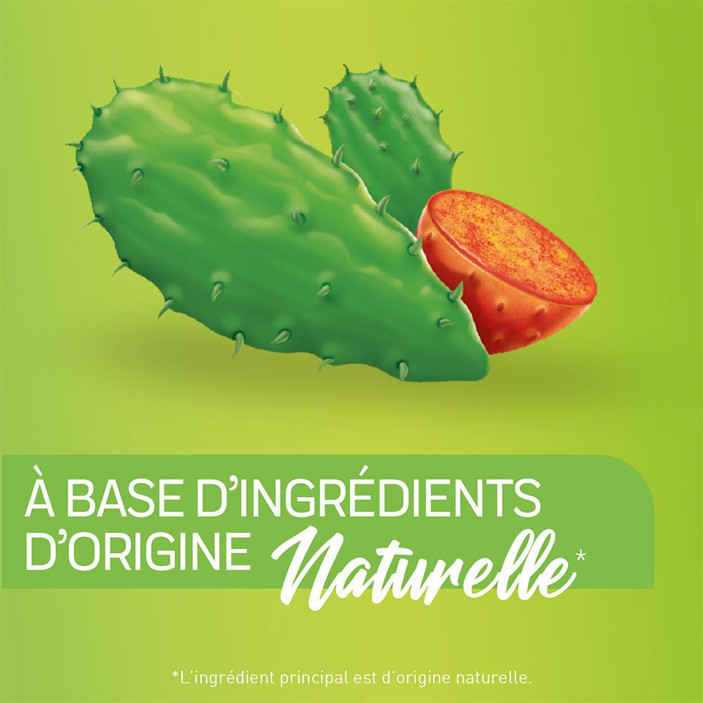 Illustration de cactus et fruit sur fond vert. Texte: À base d'ingrédients d'origine naturelle.