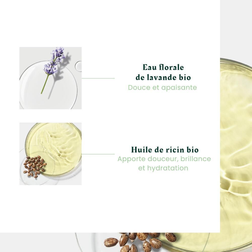 Nahaufnahme von Lavendelblüten und Rizinusöl. Text: Bio-Lavendelblütenwasser, sanft und beruhigend. Bio-Rizinusöl, bringt Glanz und Feuchtigkeit.
