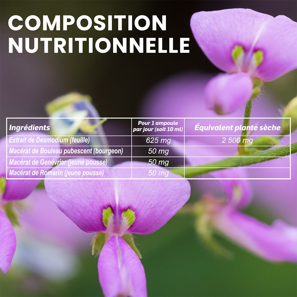 Tableau nutritionnel. Ingrédients : Extrait de Desmodium, bourgeons de bouleau, genévrier, romarin. Par ampoule.