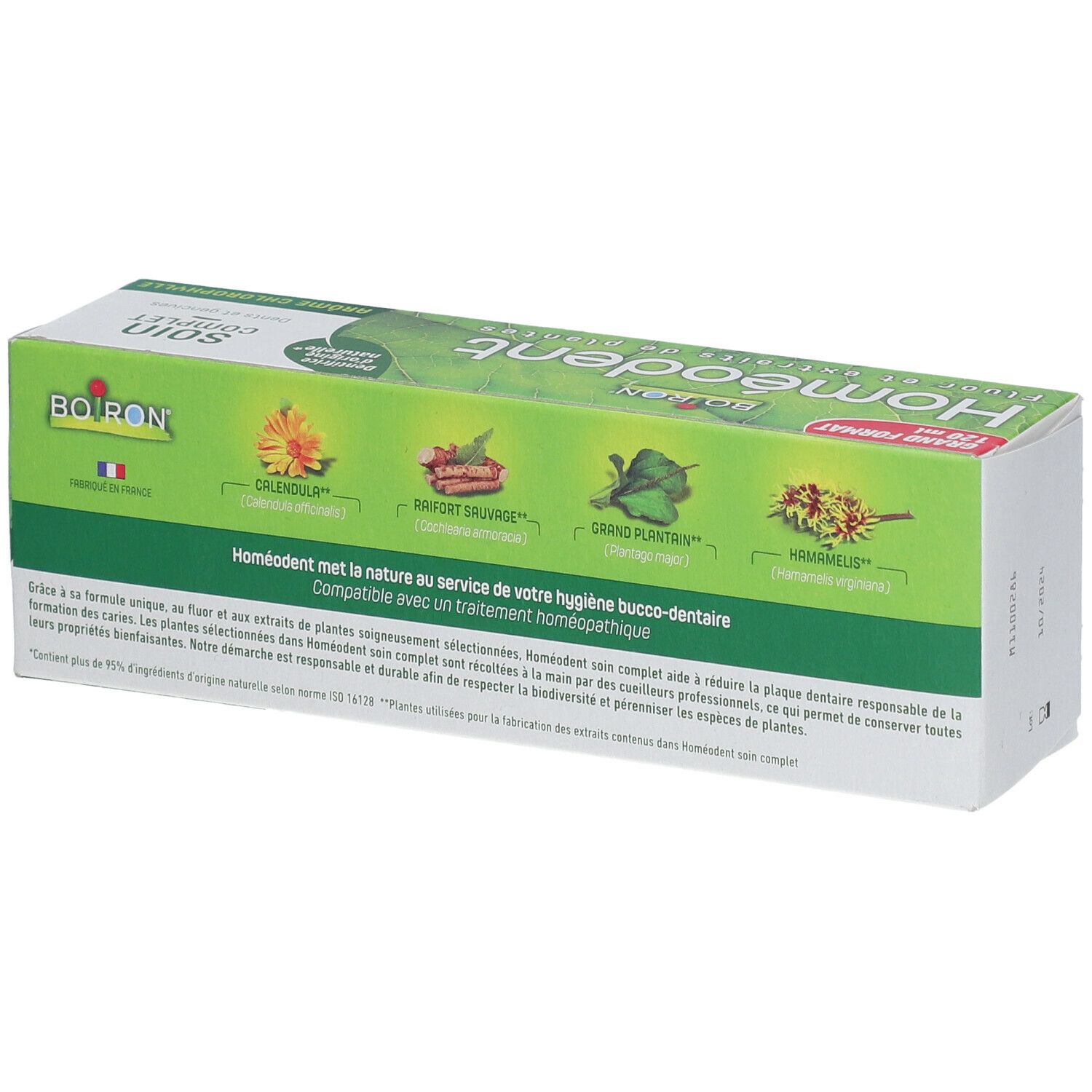Emballage de soin dentaire. Logo "Homeodent". Dos avec illustrations de plantes et texte. Vert et blanc.