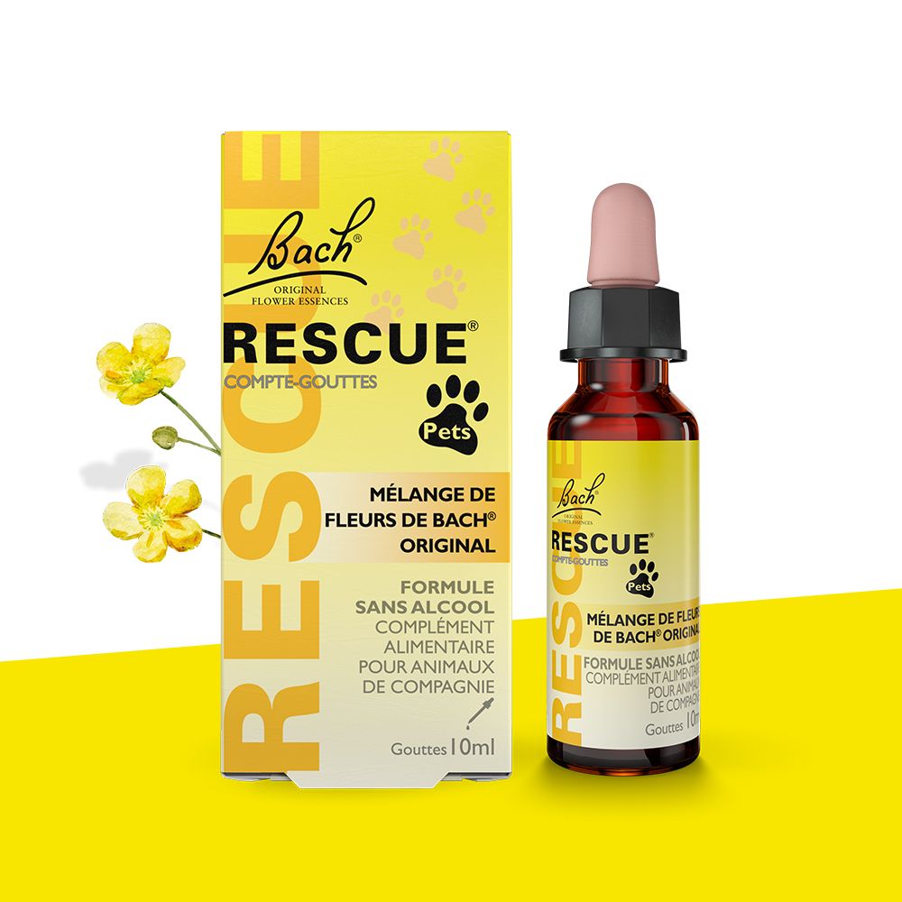 Tropfenflasche und Schachtel. Aufschrift: Bach RESCUE Pets. Mischung aus Bachblüten. Tropfen 10ml.