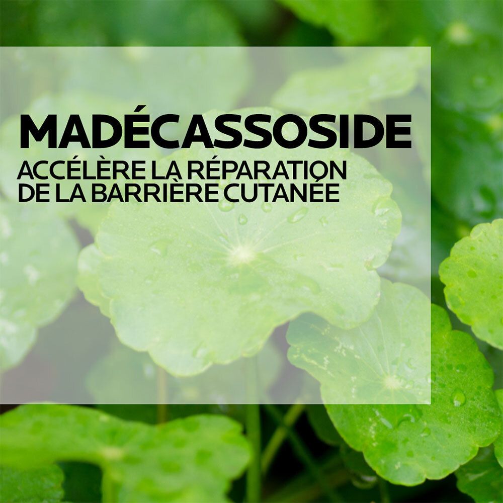 Gros plan sur des feuilles vertes. Texte : Madécassoside. Accélère la réparation de la barrière cutanée.