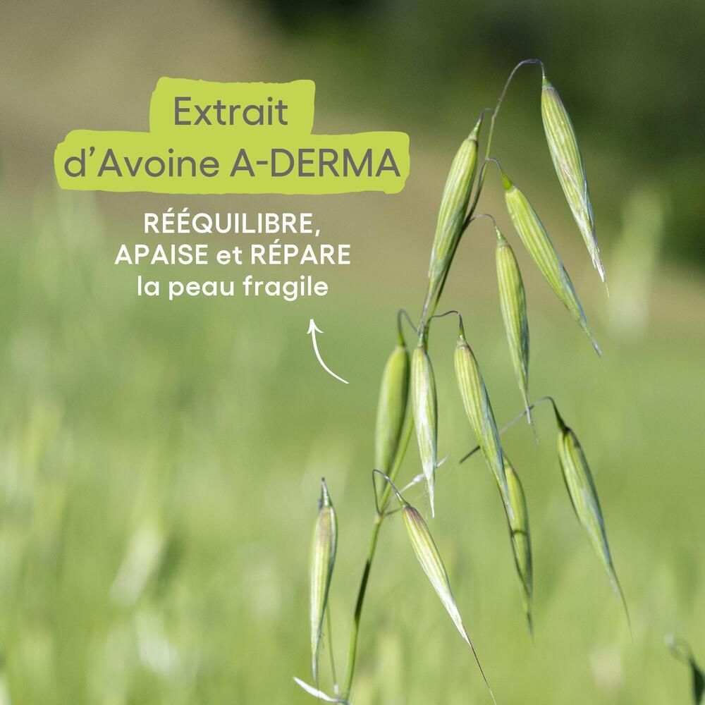 Gros plan d'épis d'avoine. Logo A-DERMA. Texte : Rééquilibre, apaise et répare la peau fragile.