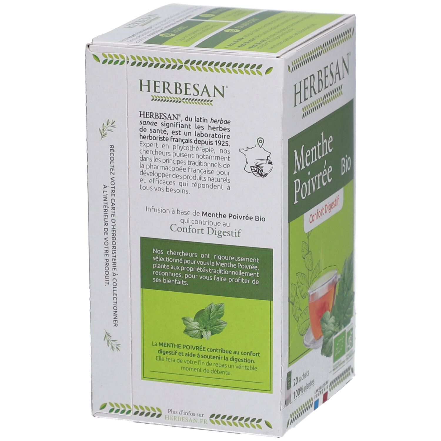 Schachtel Herbesan Pfefferminz Bio Tee. Rückseite mit Text über die Inhaltsstoffe und die Vorteile für die Verdauung. Bio-Siegel.