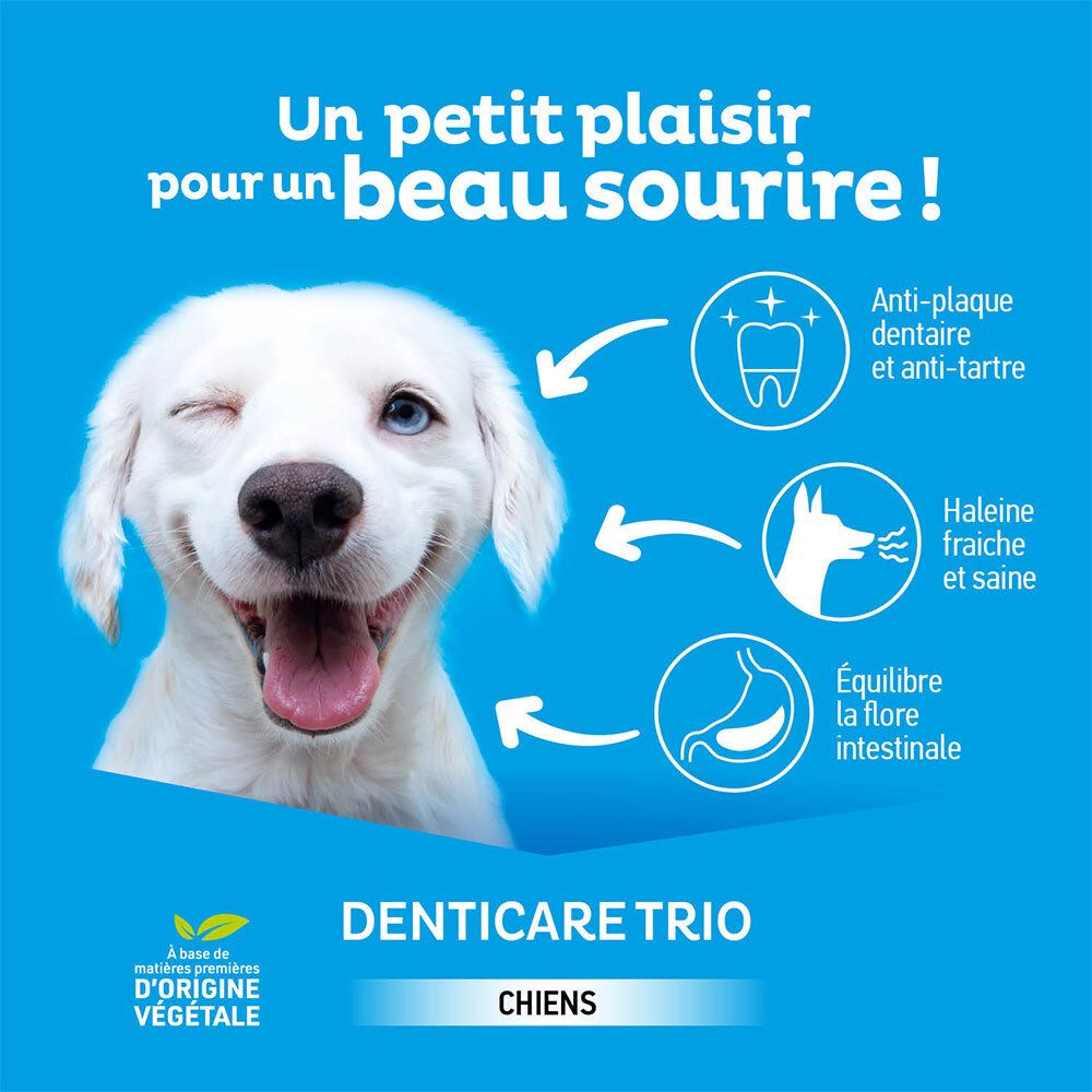 Fond bleu avec illustrations. Texte: DENTICARE TRIO, pour chiens. Illustrations: dent, chien, intestin.