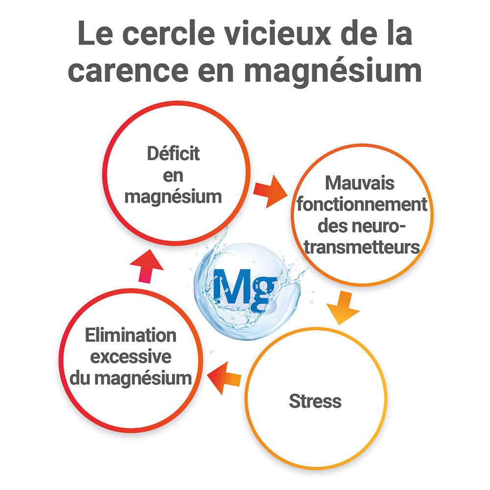 Cercle vicieux: déficit en magnésium, mauvais fonctionnement des neurotransmetteurs, stress, élimination excessive du magnésium.