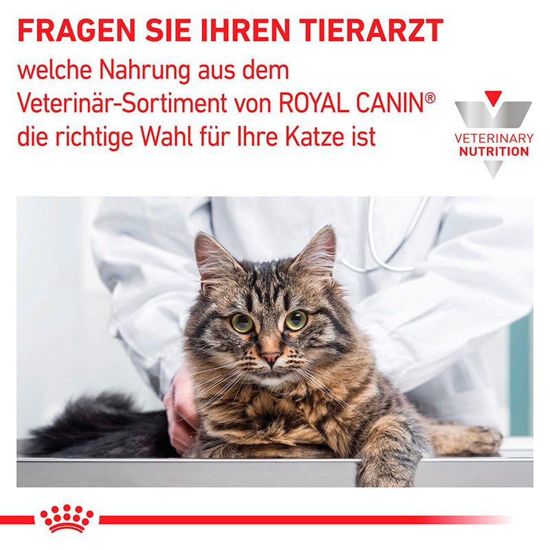 Katze beim Tierarzt. Royal Canin Veterinary Nutrition.