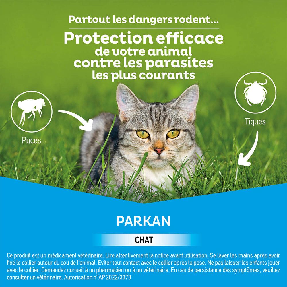 Chat dans l'herbe. Texte: Protection contre les parasites. Illustrations puces et tiques. Texte: Parkan Chat.