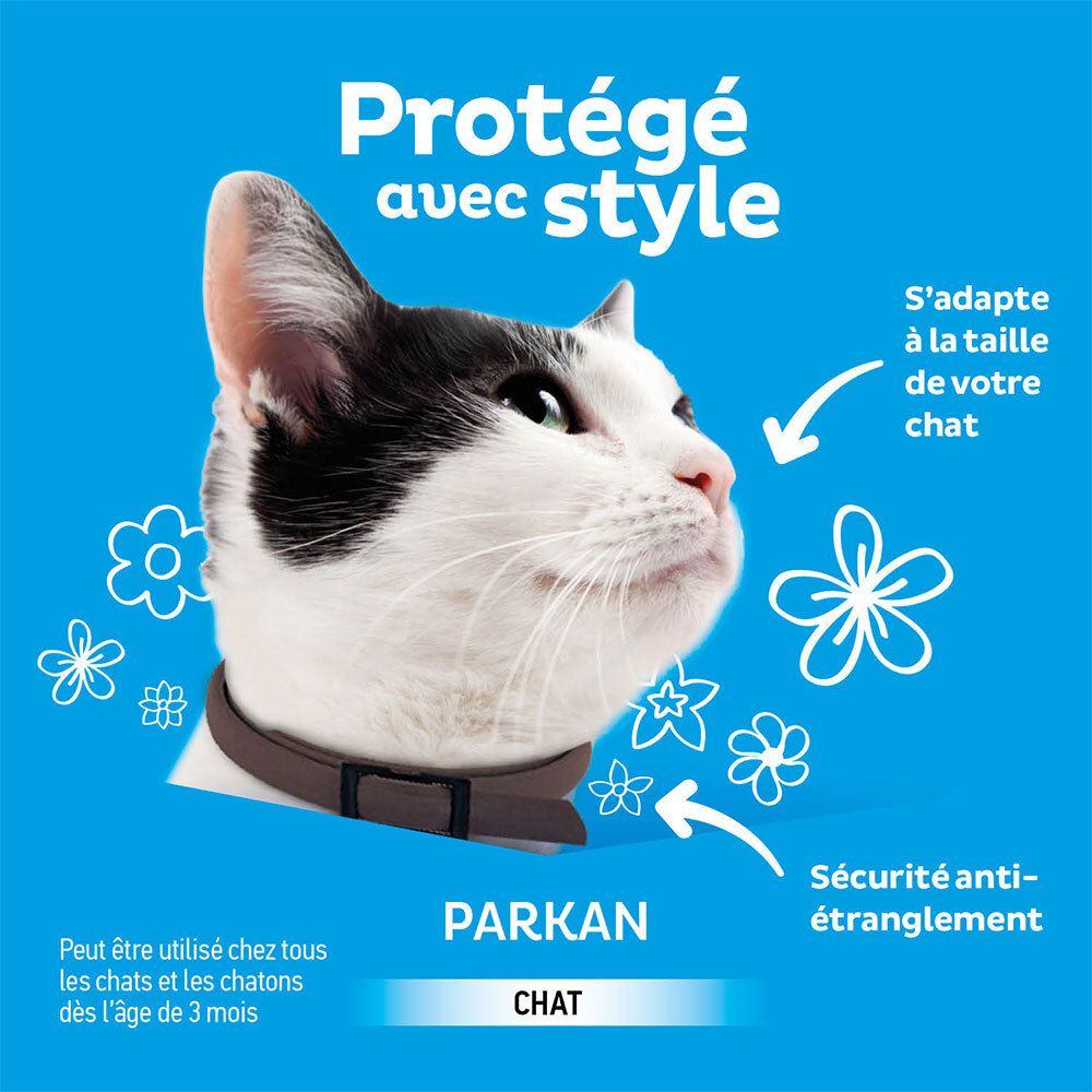 Tête de chat avec collier. Texte: Protégé avec style. Illustrations de fleurs. Texte: Parkan Chat. Sécurité anti-étranglement.